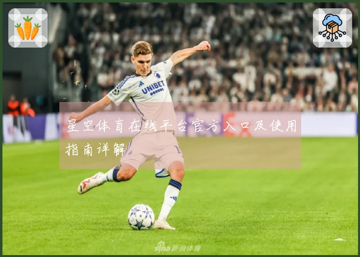 星空体育在线平台官方入口及使用指南详解